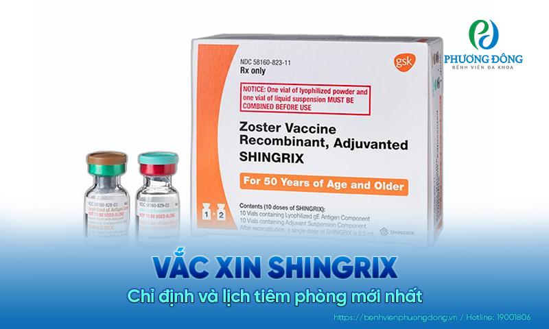 Vắc xin Shingrix: Chỉ định và lịch tiêm phòng mới nhất 