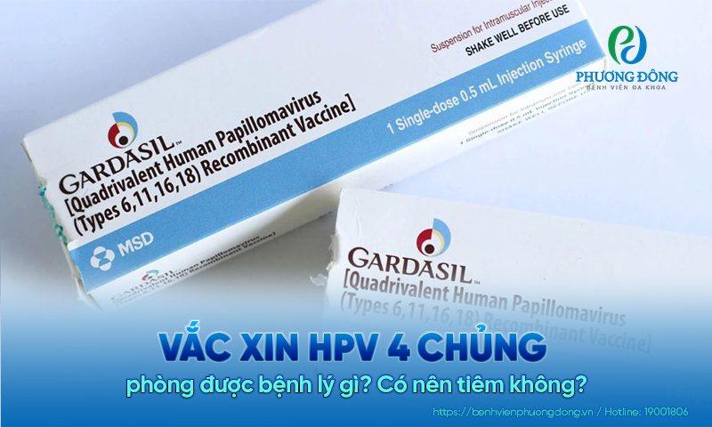 Vắc xin HPV 4 chủng phòng được bệnh lý gì? Có nên tiêm không?