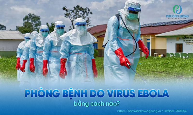 Làm thế nào để phòng bệnh do Virus Ebola?