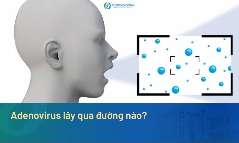 Adenovirus lây qua đường nào? Giải đáp từ bác sĩ Bệnh viện Phương Đông