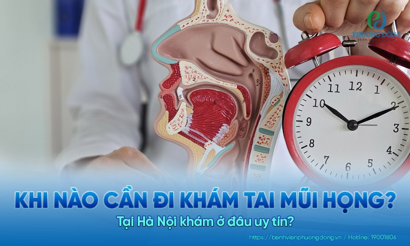 Khi nào cần đi khám tai mũi họng? Tại Hà Nội khám ở đâu uy tín?