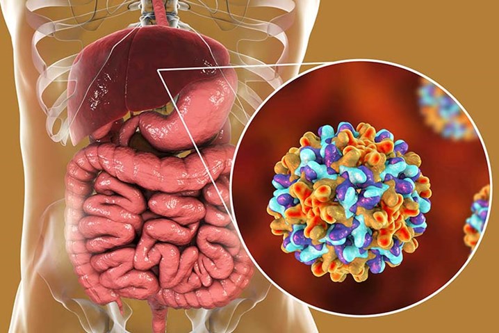 Viêm gan B: Kiểm tra định kỳ để sống khỏe lâu dài