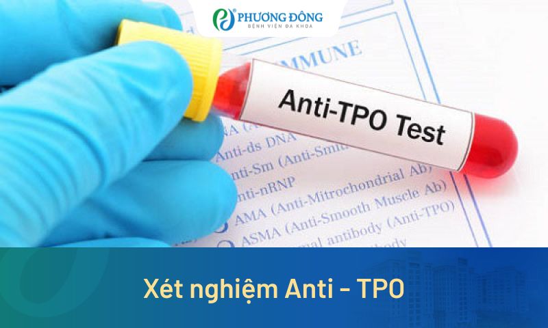 Tầm quan trọng của xét nghiệm Anti - TPO trong chẩn đoán bệnh lý tuyến giáp