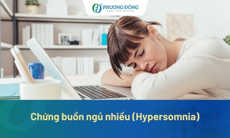 Chứng buồn ngủ nhiều (Hypersomnia): Tại sao bạn luôn buồn ngủ dù đã ngủ đủ giấc?