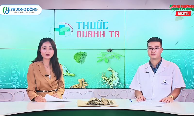Chuyên gia Phương Đông bật mí giải pháp cải thiện giấc ngủ từ thảo dược tại Talkshow “Thuốc quanh ta”