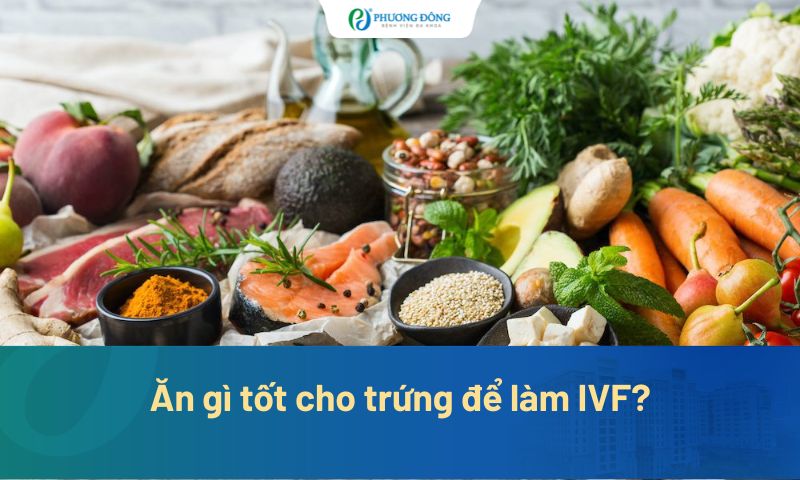 Ăn gì tốt cho trứng để làm IVF? Gợi ý 8 thực phẩm nên bổ sung