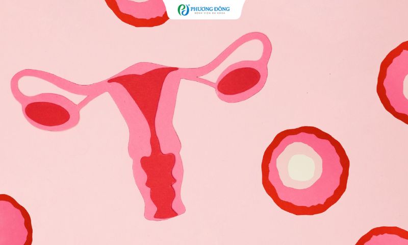 Hỏi đáp IVF: AMH mỗi năm giảm bao nhiêu? Uống thuốc bổ có tăng AMH không?