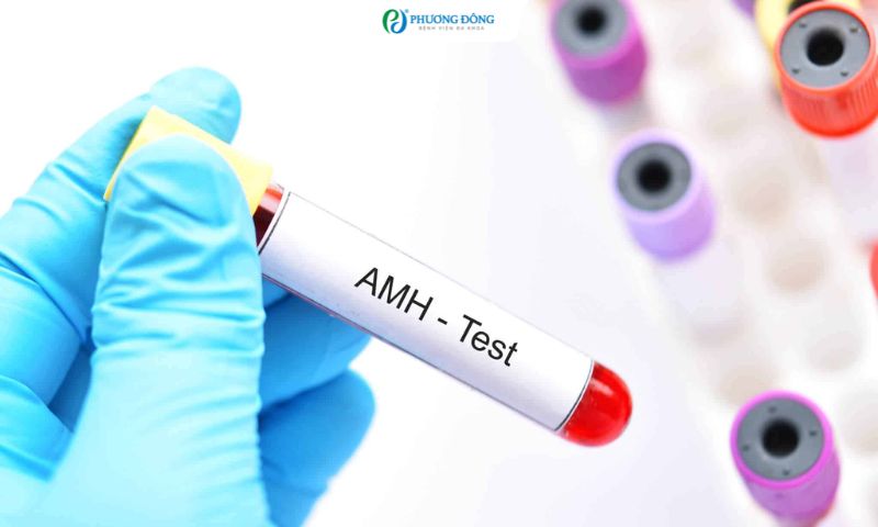 Hỏi - Đáp với bác sĩ IVF: Làm thế nào để làm chậm quá trình suy giảm AMH?
