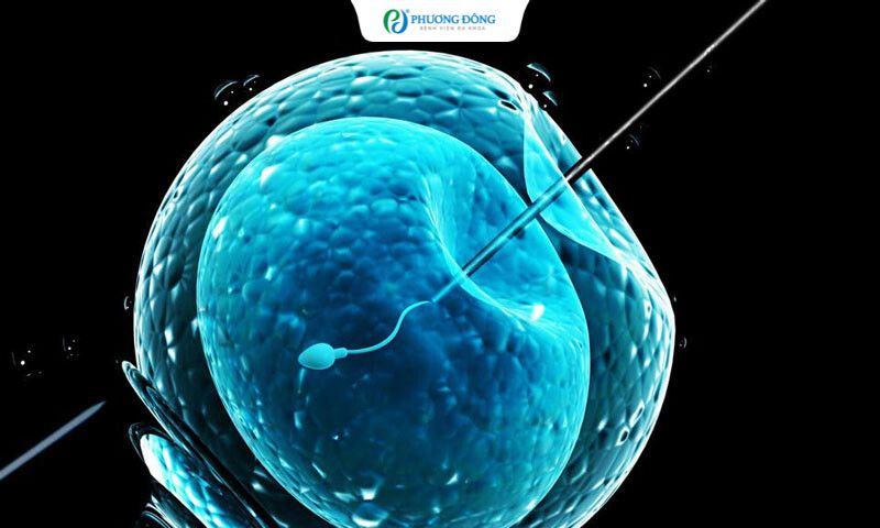 Nữ 26 tuổi có AMH 0.6 còn làm IVF bằng trứng tự thân được không?