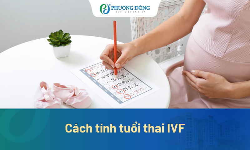 Hướng dẫn mẹ bầu cách tính tuổi thai IVF và ngày dự sinh chính xác