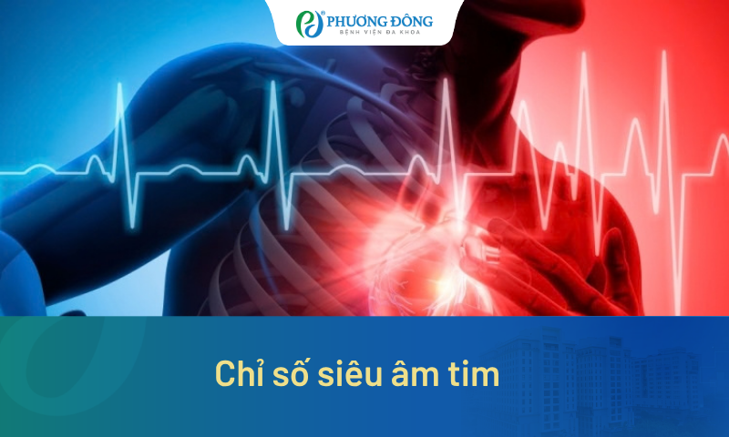 Giải đáp ý nghĩa của các chỉ số siêu âm tim