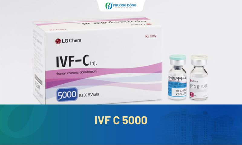 IVF C 5000 là thuốc gì? Công dụng, cách tiêm, giá thành và lưu ý cần biết