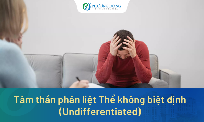 Tâm thần phân liệt Thể không biệt định (Undifferentiated) là gì? Vì sao khó nhận biết?
