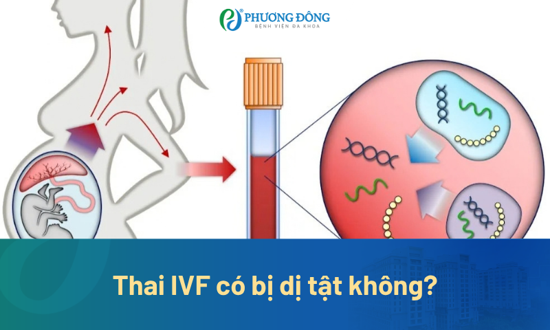 Thai IVF có bị dị tật không? Những kiểm tra mẹ không nên bỏ qua 