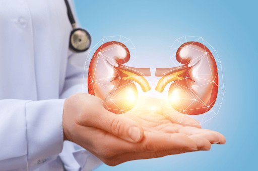 Thuốc ức chế SGLT2 trong điều trị bệnh thận mãn tính