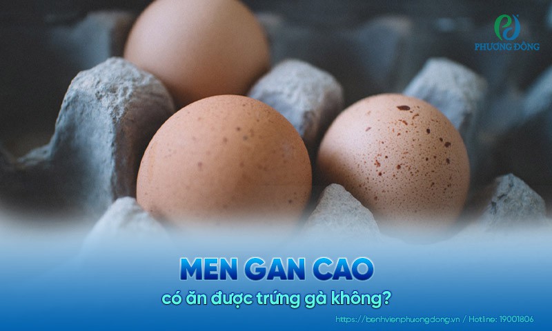 Men gan cao có ăn được trứng gà không?