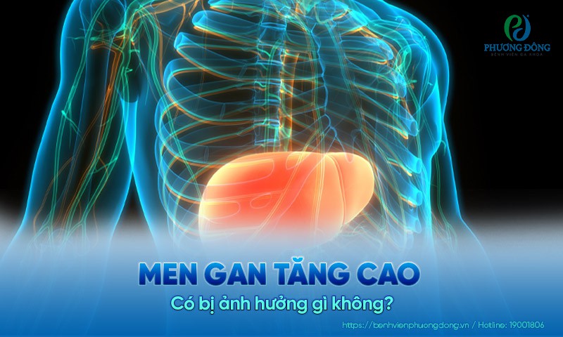 Men gan tăng cao có ảnh hưởng gì không?