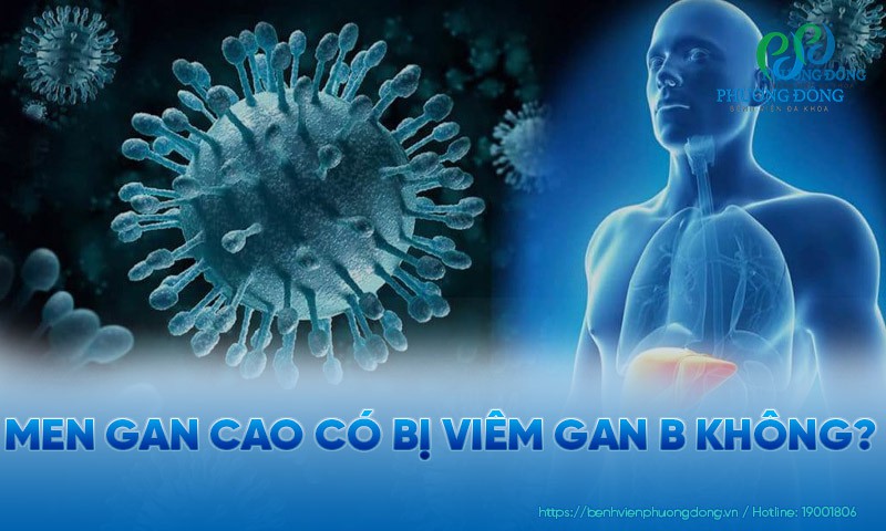 Men gan cao có bị viêm gan B không?