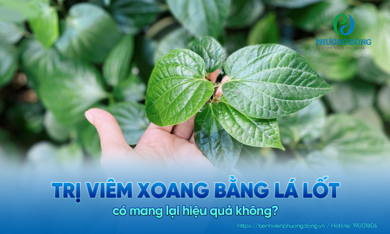 Trị viêm xoang bằng lá lốt có mang lại hiệu quả không?