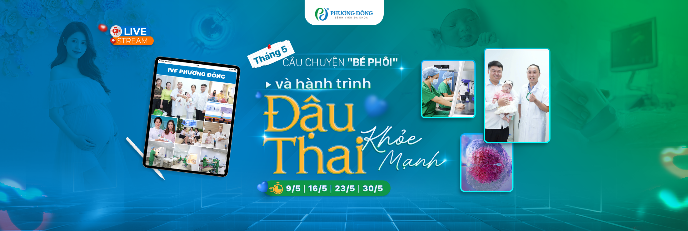 Câu chuyện bé phôi và hành trình đậu thai khoẻ mạnh