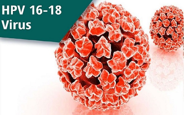 2 type HPV có nguy cơ cao gây ung thư cổ tử cung