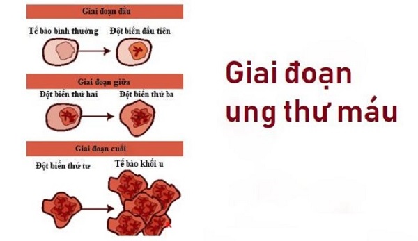 7. Tài Liệu Tham Khảo và Hỗ Trợ