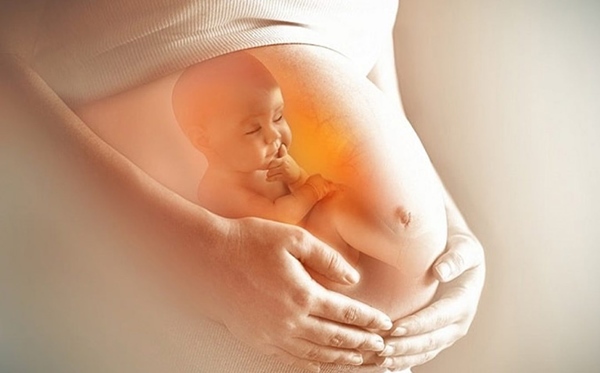 Bị u xơ tử cung khi mang thai ảnh hưởng rất lớn tới sức khỏe thai kỳ