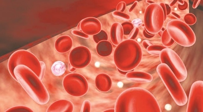 Hồng cầu là gì và có mối liên hệ gì với huyết sắc tố HGB?
