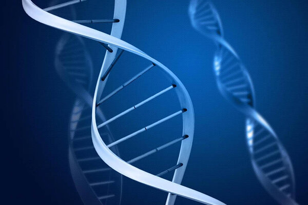Gen di truyền là nguyên nhân chính gây viêm da cơ địa