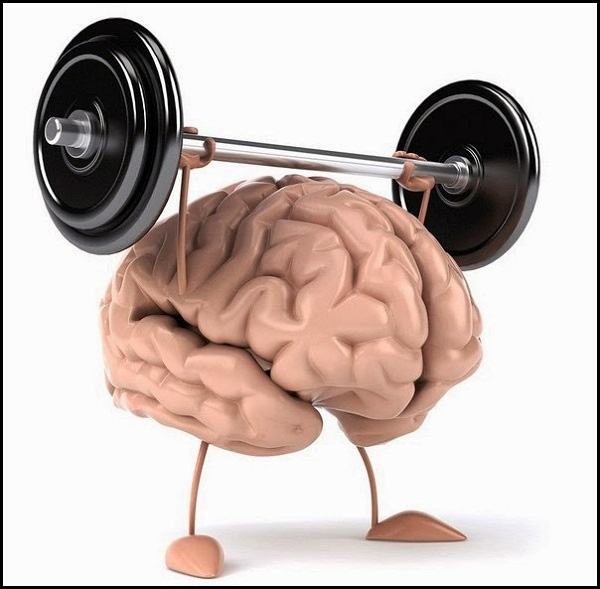 Phát triển não bộ là một lợi ích của việc tập thể dục