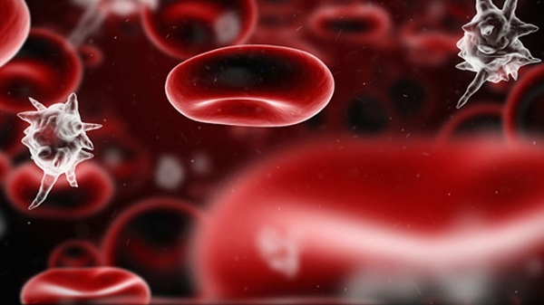 Có những yếu tố nào có thể gia tăng nguy cơ nhiễm trùng máu?
