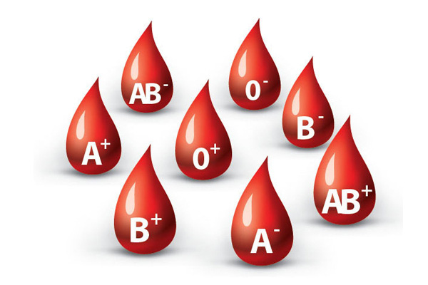 Nhóm máu B thuộc hệ nhóm máu A, B, O