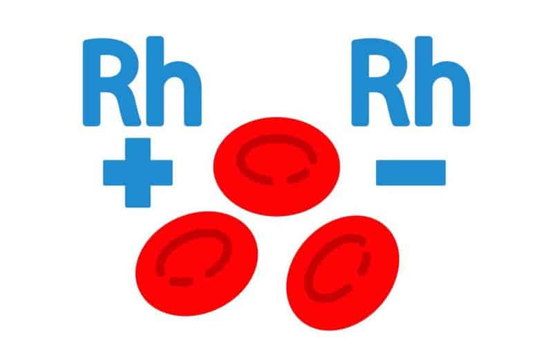 Nhóm máu B Rh+ 