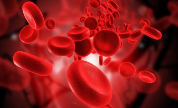 Tại sao tế bào máu RBC quan trọng đối với sức khỏe?

