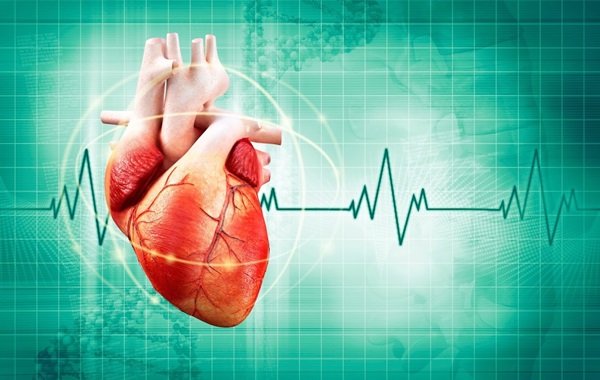 Nhịp xoang tim là một chu kỳ hoạt động của nút xoang để tạo nên 1 nhịp đập của tim