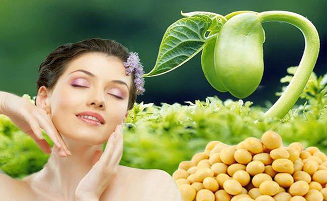 Uống mầm đậu nành mỗi ngày giúp làn da của bạn chống Oxy hóa, ngăn ngừa tổn thường và làm chậm quá trình lão hóa