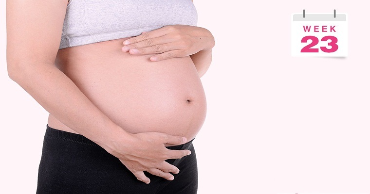 thai 23 tuần nặng bao nhiêu gam