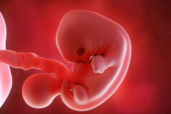 Khi xuất hiện dấu hiệu thai 6 tuần không phát triển, tác động của nó đến mẹ bầu như thế nào?
