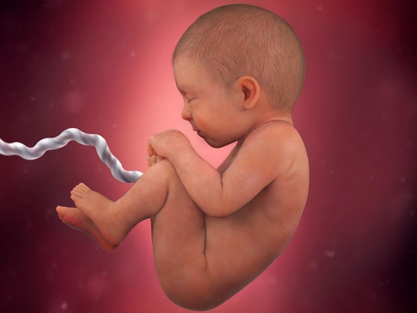 Liệu dấu hiệu em bé nấc cụt trong bụng mẹ có gây hại cho thai kỳ không?
