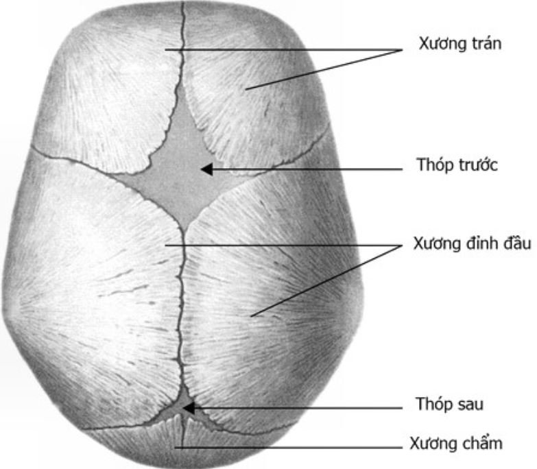 4. Các vấn đề thường gặp liên quan đến xương sọ trẻ sơ sinh