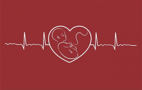 Biểu hiện không có tim thai là như nào? 5 lưu ý bà mẹ nào cũng nên biết về dấu hiệu thai ngừng phát triển