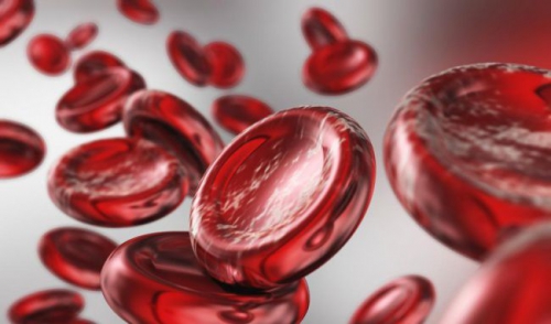 Chỉ số HgB trong xét nghiệm máu là gì? Phòng ngừa thiếu máu và giảm HgB