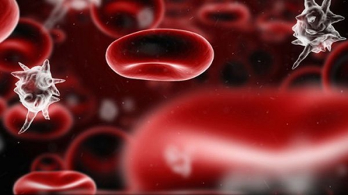 Nhiễm trùng máu: Nguyên nhân, triệu chứng và cách điều trị