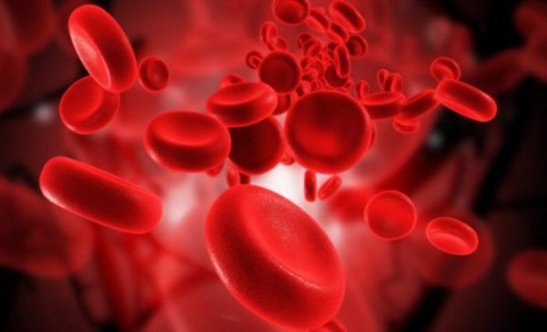 Rbc là gì? Chỉ số Rbc trong máu đóng vai trò như thế nào với sức khỏe