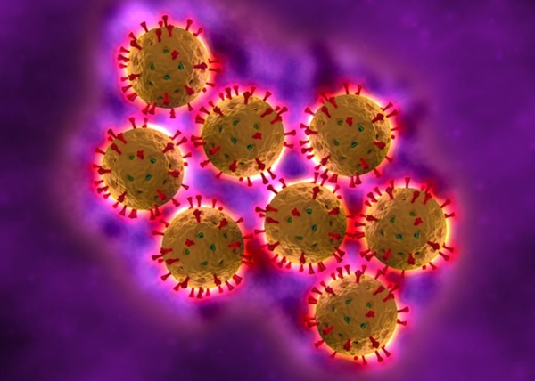 Rotavirus là nguyên nhân chính gây bệnh tiêu chảy cho trẻ em dưới 2 tuổi