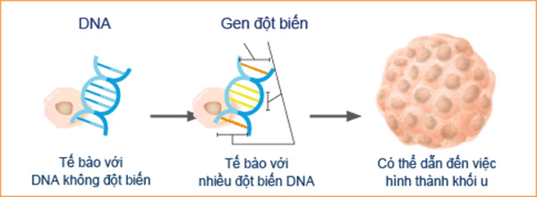 Nguyên nhân gây ung thư