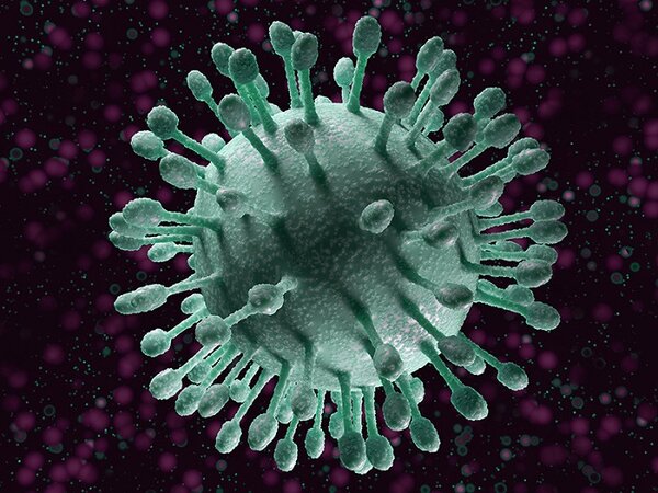 Virus HBV là nguyên nhân gây ra viêm gan B