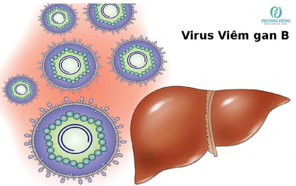 Những điều cần biết về bệnh viêm gan B